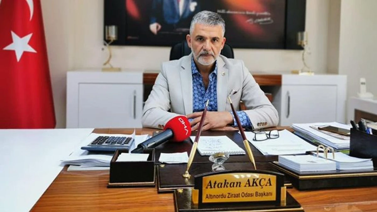 Altınordu Ziraat Odası Başkanı Akça: “Bu Yıl Fındık Fiyatını Üretici Belirleyecek”