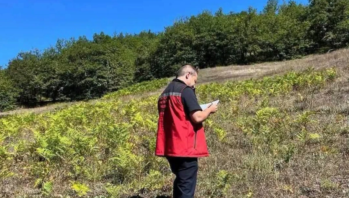 Atıl Tarım Arazileri &Uuml;retime Kazandırılıyor Ordu Genelinde : Akkuş İlk Sırada!
