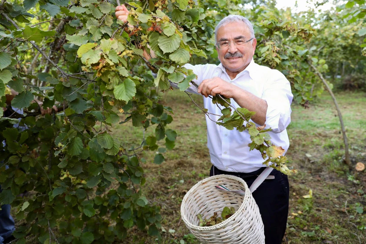 Başkan Güler’den Fındık Hasat Sezonu Temennisi