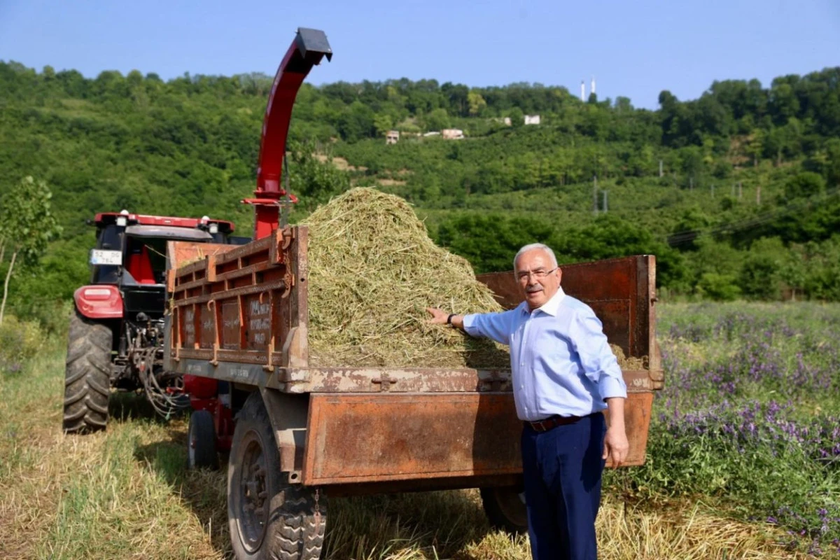 BÜYÜKŞEHİR BESİCİLERİN YÜZÜNÜ GÜLDÜRDÜ