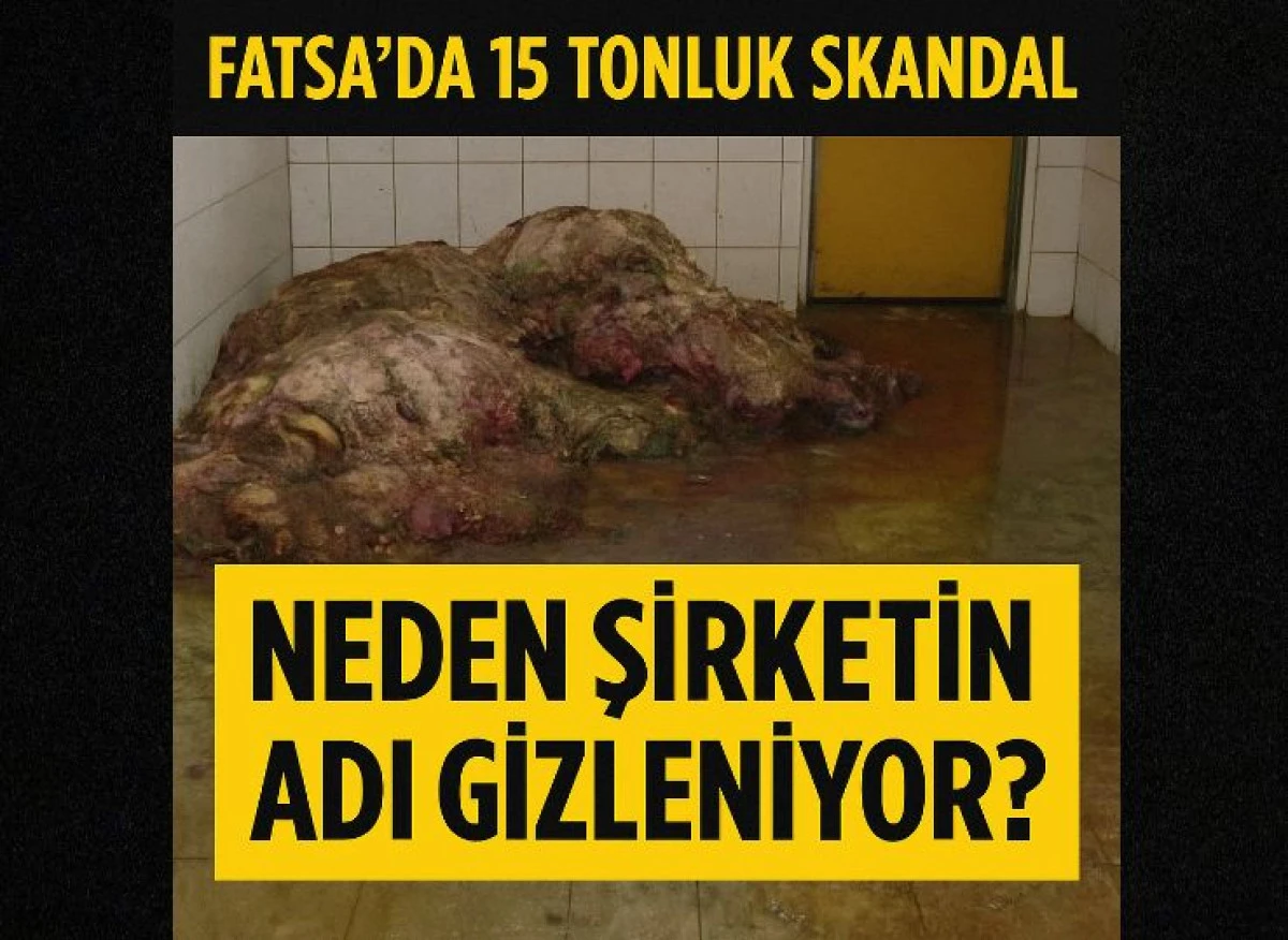 Fatsa’da Gıda Skandalı: 15 Ton Çürümüş Et Ortaya Çıktı, Firma Neden Gizleniyor?