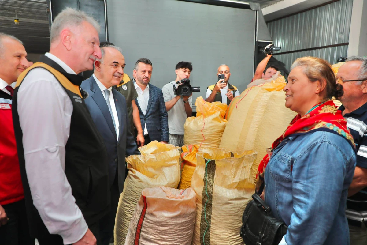 Fındık &Uuml;reticisine B&uuml;y&uuml;k Darbe: TMO Kapıyı Kapattı, Fiskobirlik &Ccedil;ift&ccedil;iyi Geri &Ccedil;eviriyor!