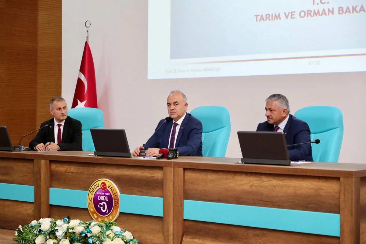 KOKARCA ZARARLISINA KARŞI ORDU'DA YENİ DÖNEM MÜCADELESİ BAŞLIYOR