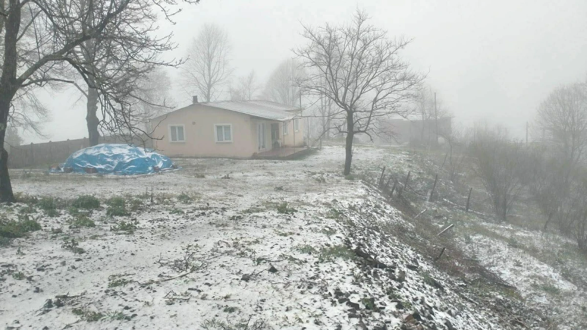 Nisan&rsquo;da Kar S&uuml;rprizi: Ordu&rsquo;nun Y&uuml;ksekleri Beyaza B&uuml;r&uuml;nd&uuml;