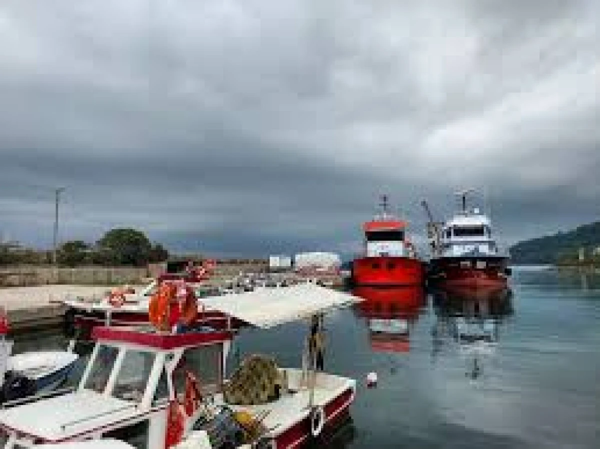Ordu'da Amat&ouml;r Denizcilerden G&uuml;venli Liman &Ccedil;ağrısı