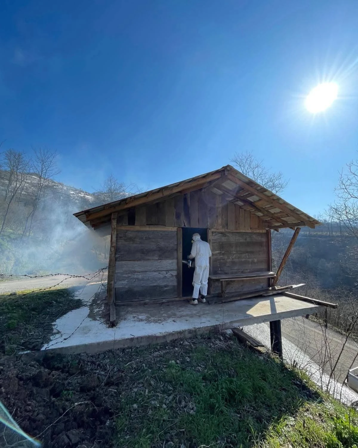 Ordu&rsquo;da Kahverengi Kokarca ile M&uuml;cadele S&uuml;r&uuml;yor