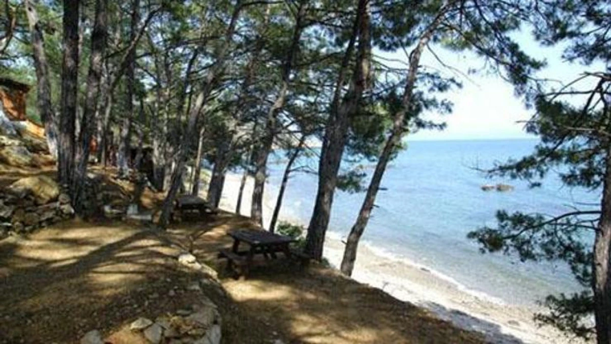 Resmi Gazete’de Yayımlandı: Deniz Kenarındaki Ormanlar Turizm Yatırımına Açılıyor