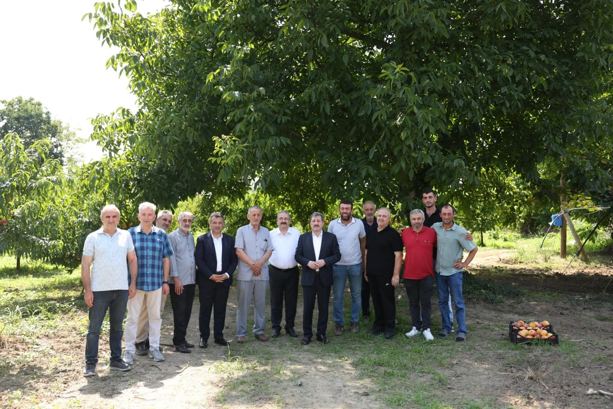 Samsun&rsquo;da Şeftali Hasadı: Vali Tavlı ve Başkan Doğan &Ccedil;arşamba&rsquo;da &Uuml;reticilerle Buluştu