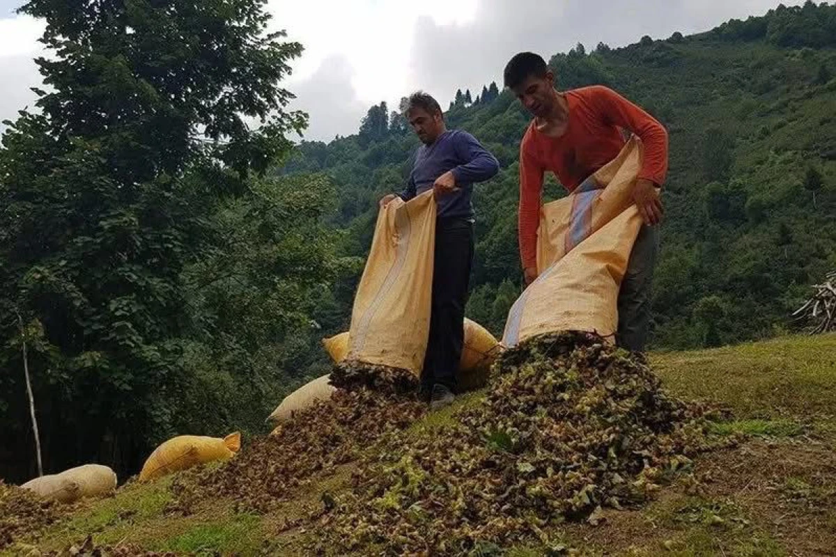 Sigortasız Çiftçilere Otomatik Tarım Bağ-Kur Tescili Başladı