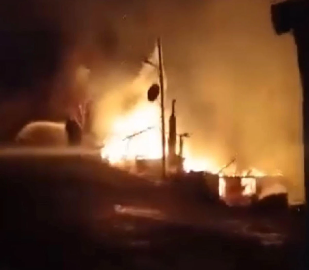 &Uuml;nye&rsquo;de Evini Ateşe Veren Şahıs Ağa&ccedil;ta Asılı Halde Bulundu