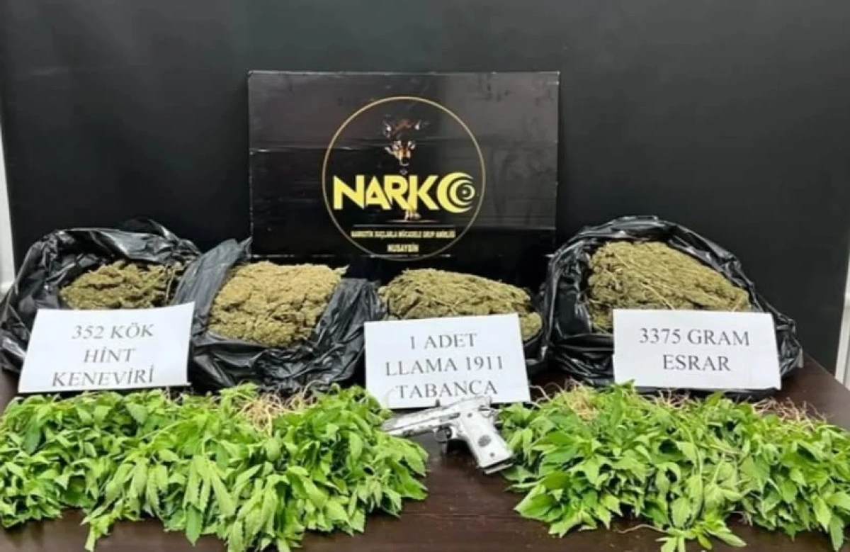 Ünye'de Narkotik Operasyonu: 20 Gözaltı ve 22 Kişi Hakkında Yasal İşlem