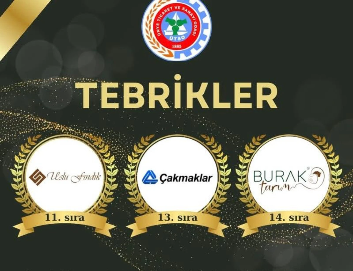 &Uuml;nye&rsquo;den &Uuml;&ccedil; Firma Fındık İhracatında T&uuml;rkiye Zirvesinde